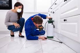 Best Real Estate Pest Inspections  in St David, AZ