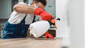 Best Residential Pest Control  in St David, AZ