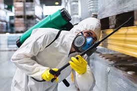 Best Pest Prevention Services  in St David, AZ